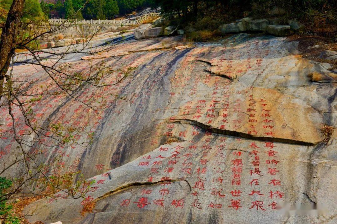 奶奶带2岁孙女下火车后发现丢失围巾，独自回车厢寻找，不料列车突然开走，孙女崩溃无助狂追列车